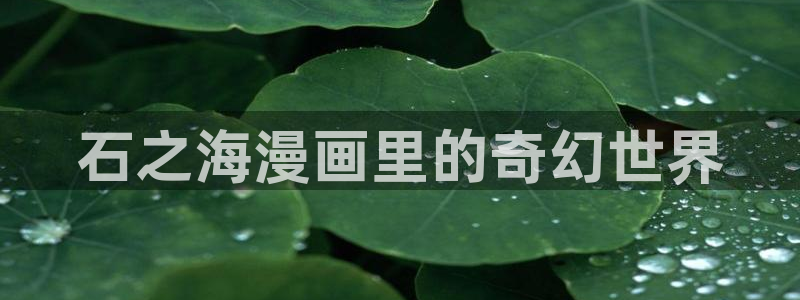 91漫画app官方安装下载免费：石之海漫画里的奇幻世界