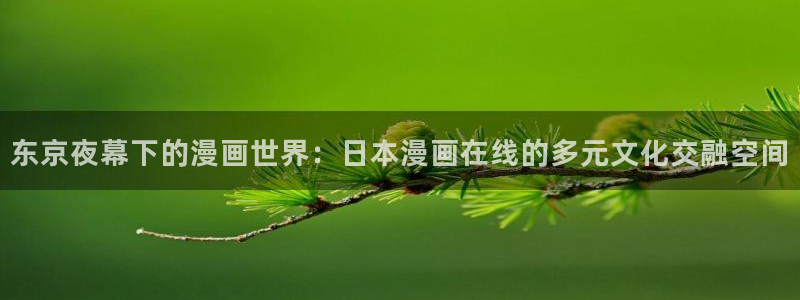 91漫画登陆账号：东京夜幕下的漫画世界：日本漫画在线的多元文化交融空间
