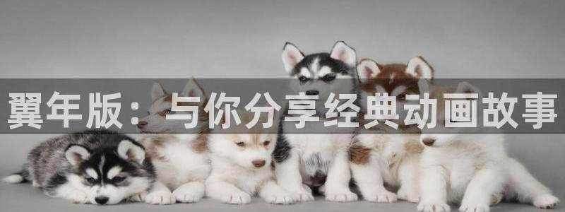 龙蛇演义91动漫全集：翼年版：